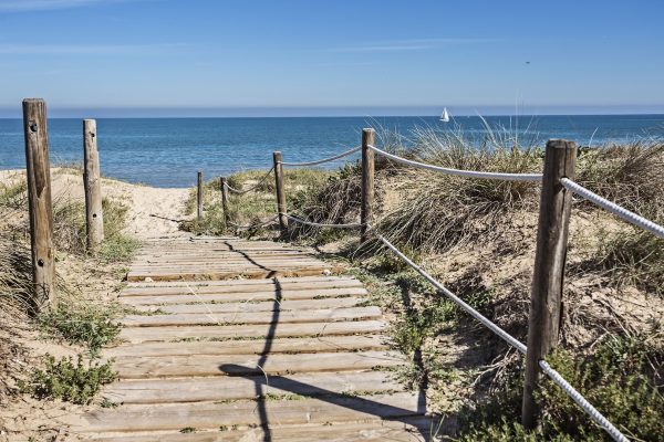 camping-oliva camping-oliva