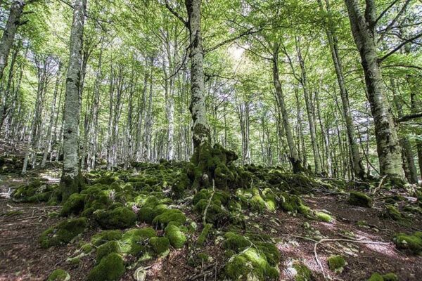 Parque-Natural-de-Urbasa-3