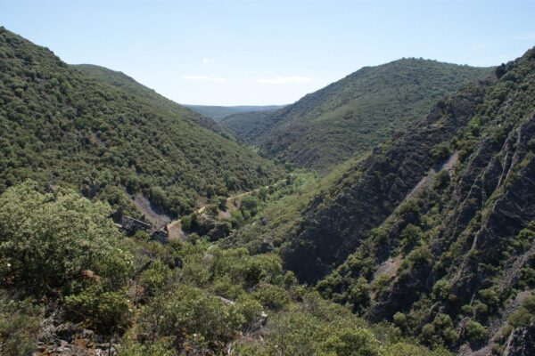 paisaje-lincetur-3 paisaje-lincetur-3