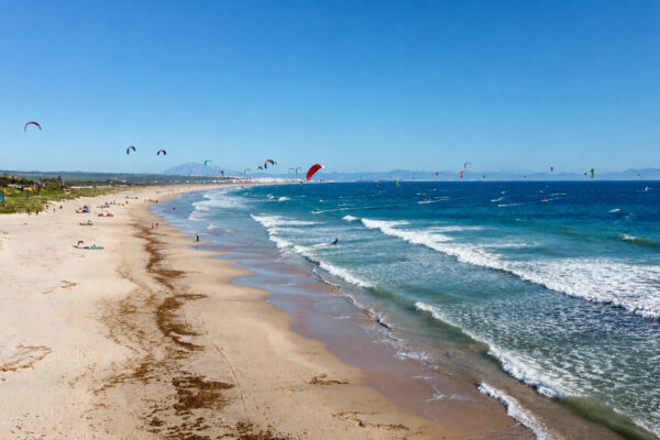 Tarifa 2026 Seleccion-15
