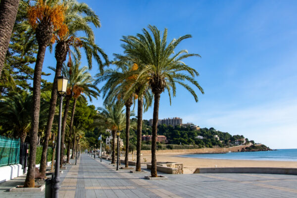 Benicassim 2026 Seleccion-20