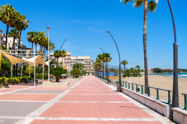 Estepona 2026 Seleccion-18