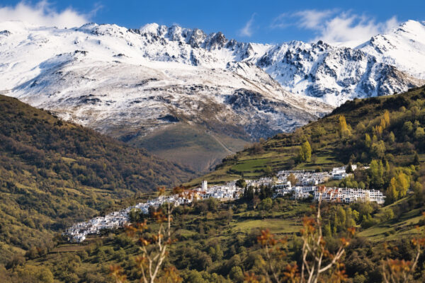 Sierra Nevada 2026 Seleccion-13
